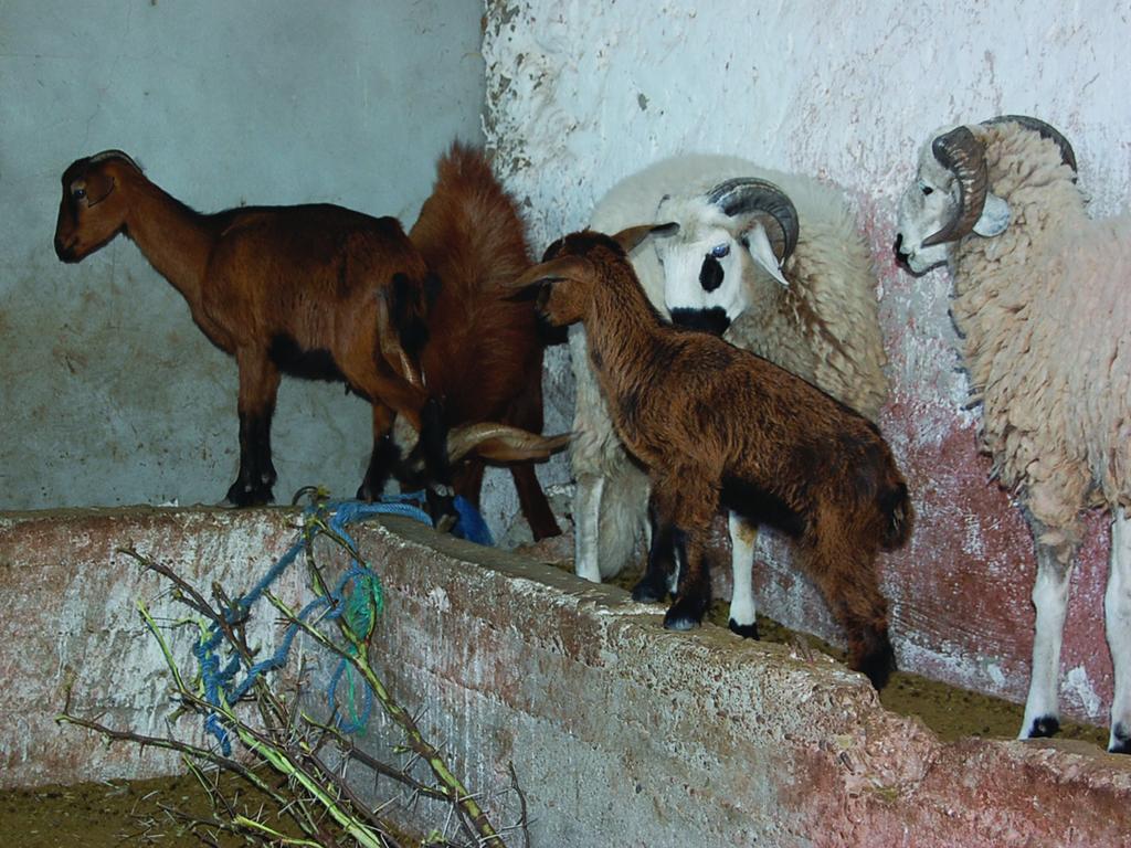 Gite Souss Oulad Teïma Exteriör bild