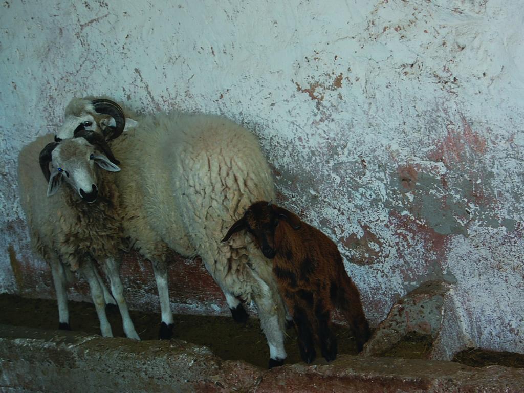 Gite Souss Oulad Teïma Exteriör bild
