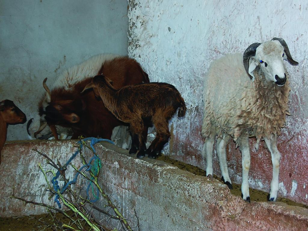 Gite Souss Oulad Teïma Exteriör bild